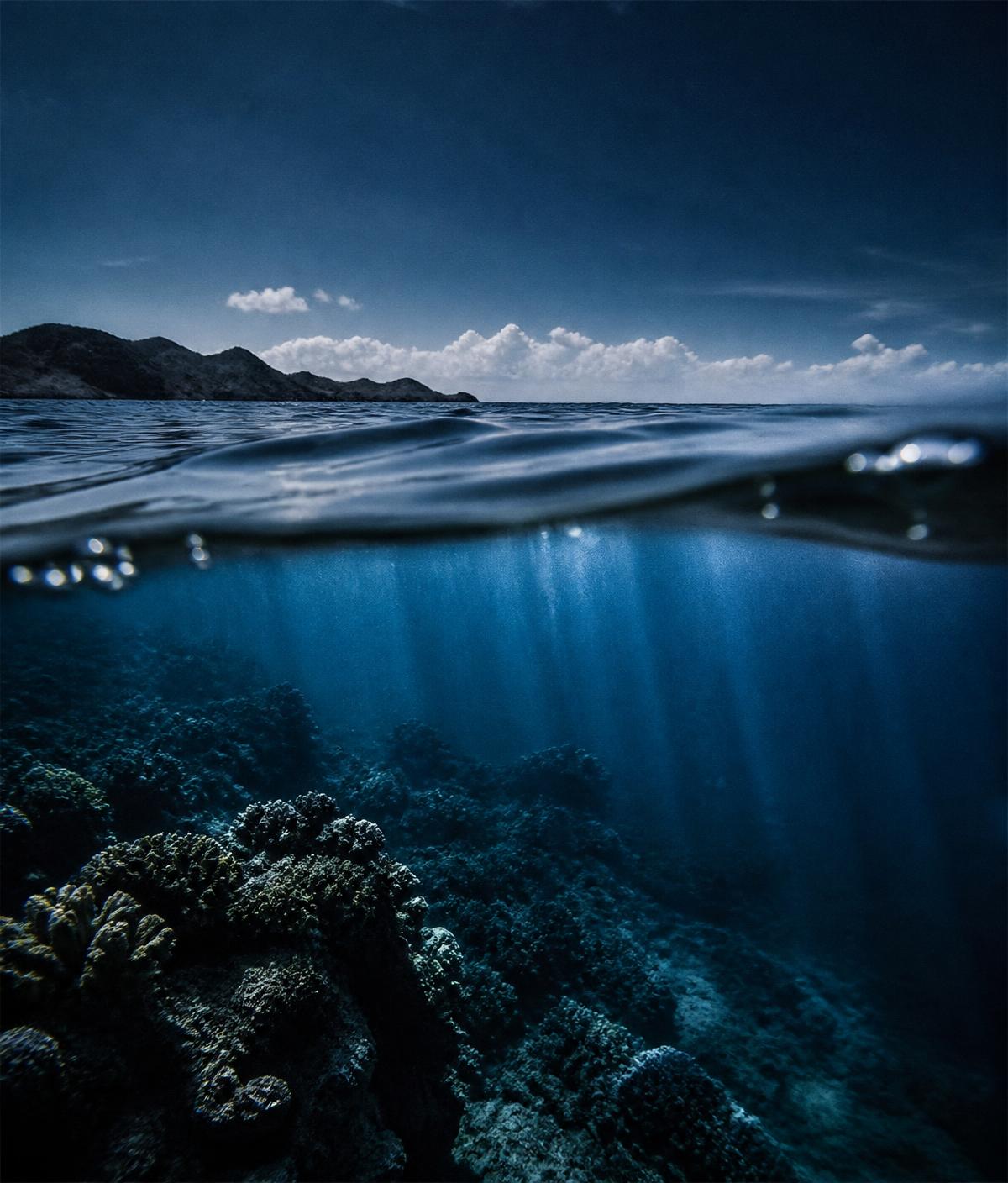 Fotografía mitad sobre y mitad bajo el agua de un arrecife en mar abierto